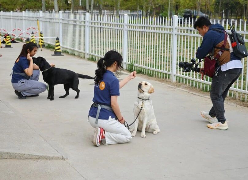 北京高校助力推进教育科技人才一体发展特别报道|乐鱼网页版登录入口④:图说乐鱼网页版登录入口 北京高校助力推进教育科技人才一体发展特别报道|乐鱼网页版登录入口④:图说乐鱼网页版登录入口