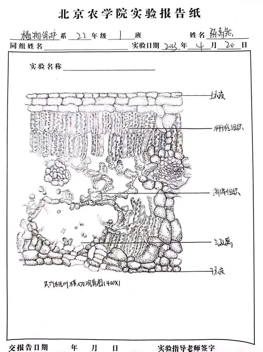 2705F