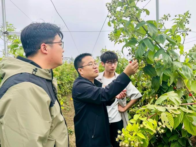 北京高校助力推进教育科技人才一体发展特别报道|乐鱼网页版登录入口④:图说乐鱼网页版登录入口 北京高校助力推进教育科技人才一体发展特别报道|乐鱼网页版登录入口④:图说乐鱼网页版登录入口